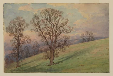Study of Landscape, Chester County, PA