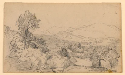 Study of landscape