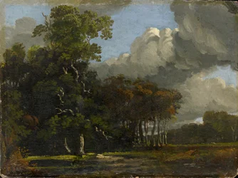 Woodland Landscape