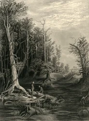 The Chickahominy