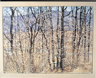 Kittatiny Mountains, Morning