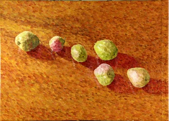 Still Life, Black Worcesters, 2013