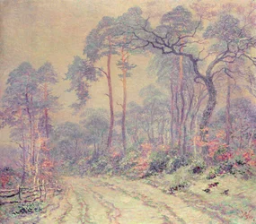 The Path Through the Wood