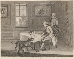 The Man, the Cat, the Dog, and the Fly