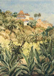 Lankatilaka from the pepper garden