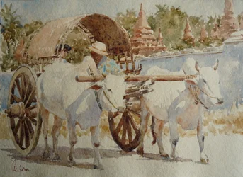 934 Bullock Cart Taxi Round the Temples