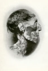 Head of the Mummy of Rameses II, Ancient Egyptian Pharaoh of the 19th Dynasty, c. 1212 BC, 1926