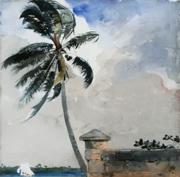 A Tropical Breeze, Nassau