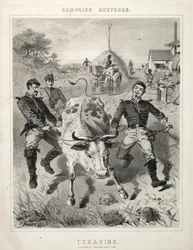 Campaign Sketches: Foraging, 1863