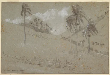 Cuban Hillside, 1885