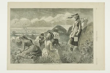 Gathering Berries