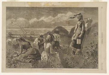Gathering Berries