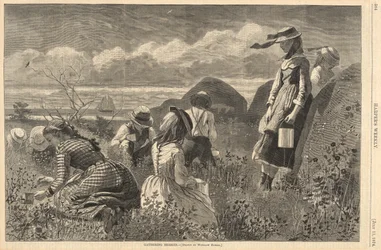 Gathering Berries, from Harper