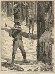 Lumbering in Winter