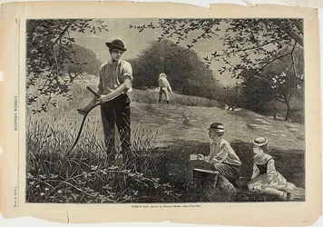 Making Hay