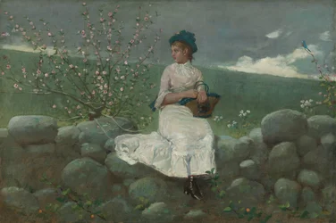 Peach Blossoms