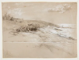 Seacoast with Scrub Pines, Prout