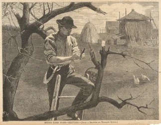 Spring Farm Work