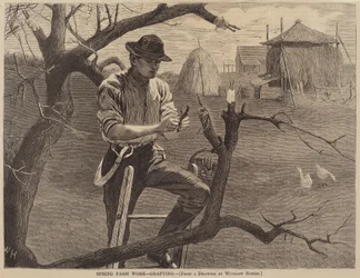 Spring Farm Work - Grafting, published 1870