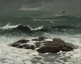 Summer Squall