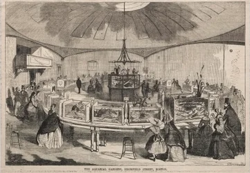 The Aquarial Gardens, Bromfield Street, Boston