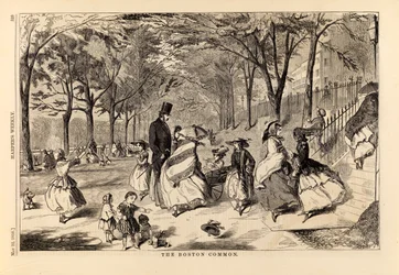 The Boston Common, from Harper