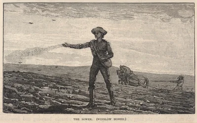 The Sower
