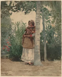 Under a Palm Tree