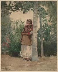 Under a Palm Tree