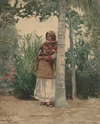Under a Palm Tree