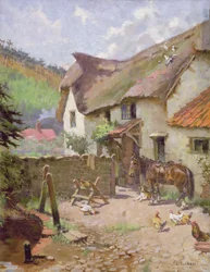 In the Garden