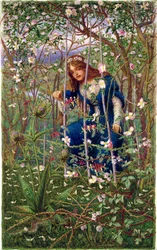 The Briar Wood