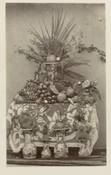 Still Life of Tropical Fruits
