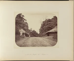 Top of the Poentjak near Buitenzorg