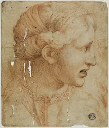 Female Head in Profile, Facing Right