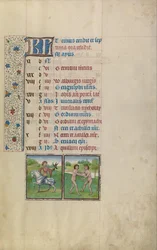 A Man Hawking; Zodiacal Sign of Gemini