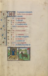 A Man Slaughtering a Pig; Zodiacal Sign of Capricorn