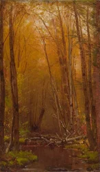 The Birches of the Catskills