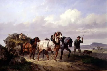 A Team of Draught Horses