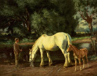 A Mare and her Foal at a Ford