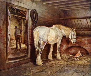 The End of the Day - Farm Horse Returns Home