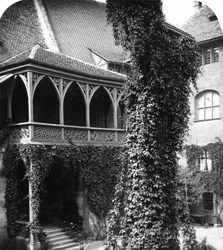 Lime Tree in a Courtyard, Nuremberg, Bavaria, Germany