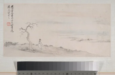Landscapes