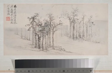 Landscapes