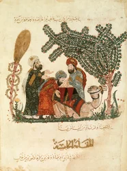 Al-Harith discovers a sentence of the Qur