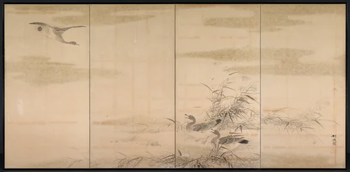 Geese, Reeds, and Water