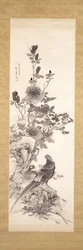 Peonies And Golden Pheasants