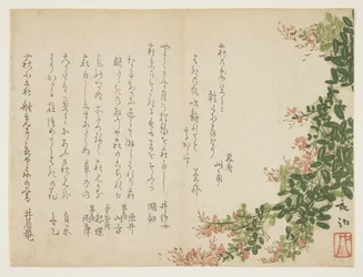 Flowering Bush Clover