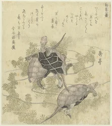 Three Turtles Among Water Plants (series title: A Series of Two Prints of Cranes and Turtles)