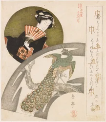 Geisha and peacock on plum blossom; A series of ten prints for the Honchôren (series title); Honchôren jûbantsuzuki (series title on object)